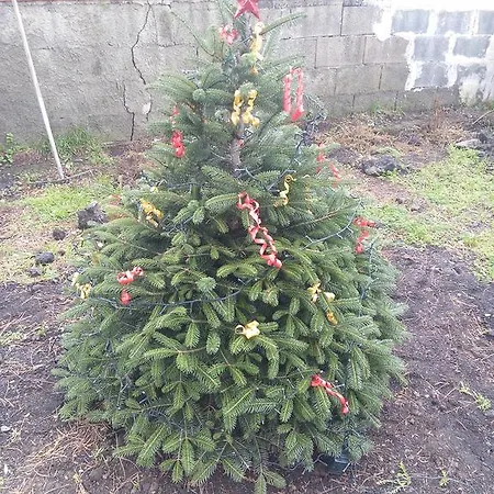 Il Giardino Di Leoca Alojamento de Acomodação e Pequeno-almoço