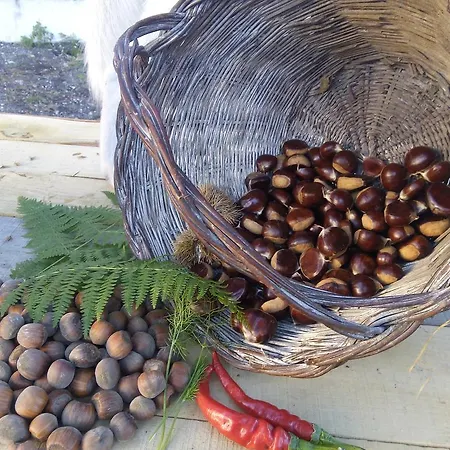 Bed & Breakfast Il Giardino Di Leoca Nicolosi